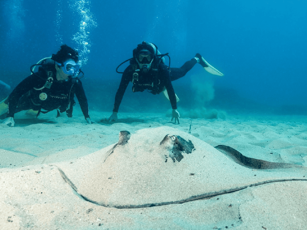 Mergulho de cilindro em Noronha
