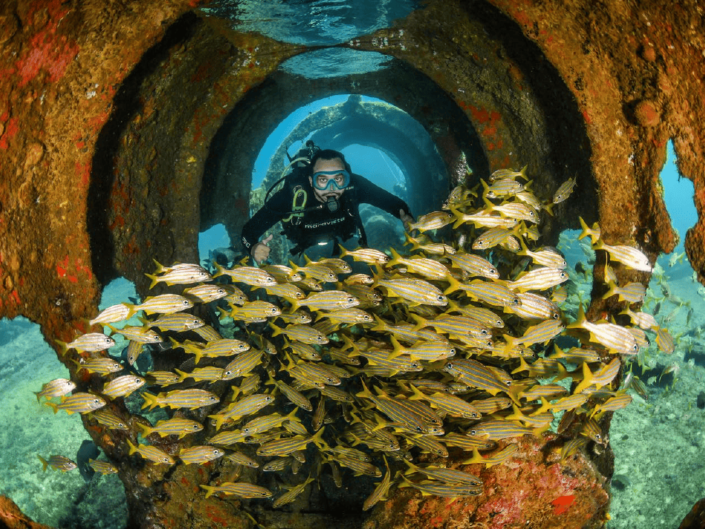 Mergulho de cilindro em Noronha