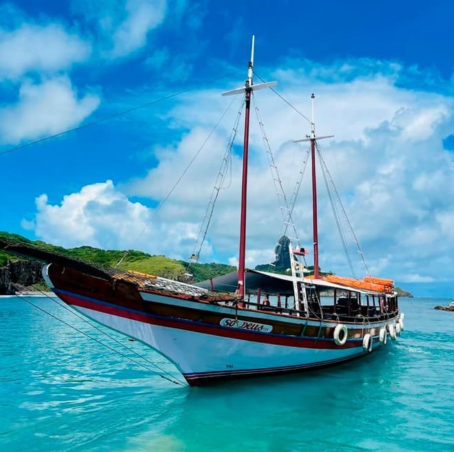 Barco Golfinhos – Tradicional