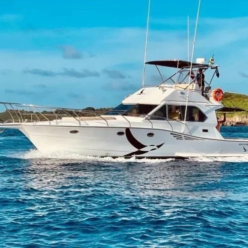 Lancha Albatroz - passeio de lancha privativa em Fernando de Noronha - Noronha Total