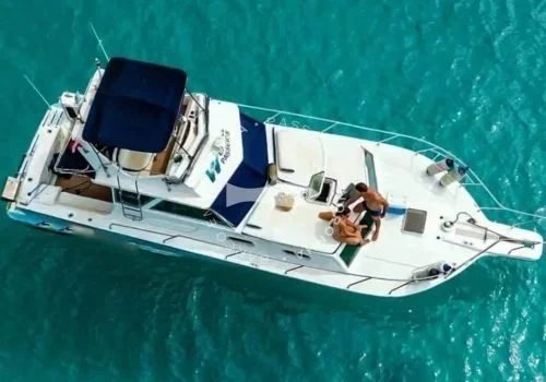 Lancha Sea Fox - passeio de lancha privativa em Fernando de Noronha - Noronha Total